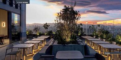 Loft Reforma