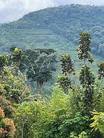 Rafiki Safari Lodge Bwindi