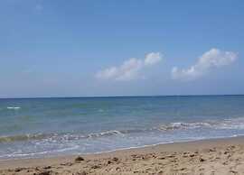 White Pearl Beach Elviria H1