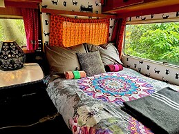 Camping De Helleborus