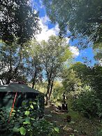 Camping De Helleborus