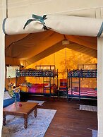 Camping De Helleborus