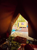 Camping De Helleborus