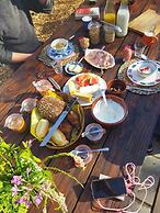 Camping De Helleborus
