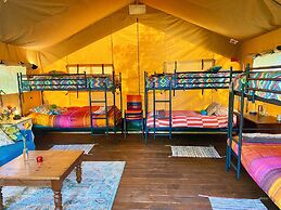 Camping De Helleborus