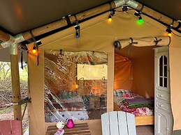 Camping De Helleborus
