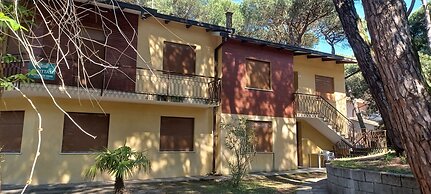 Cozy Accommodation for you in Rosolina Mare