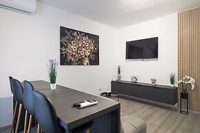 Classy apartments in city center