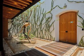 Casa Carmen Xólotl
