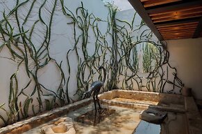 Casa Carmen Xólotl