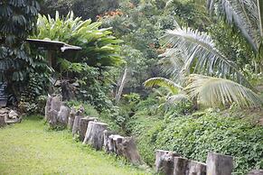 Maui Creek Bures