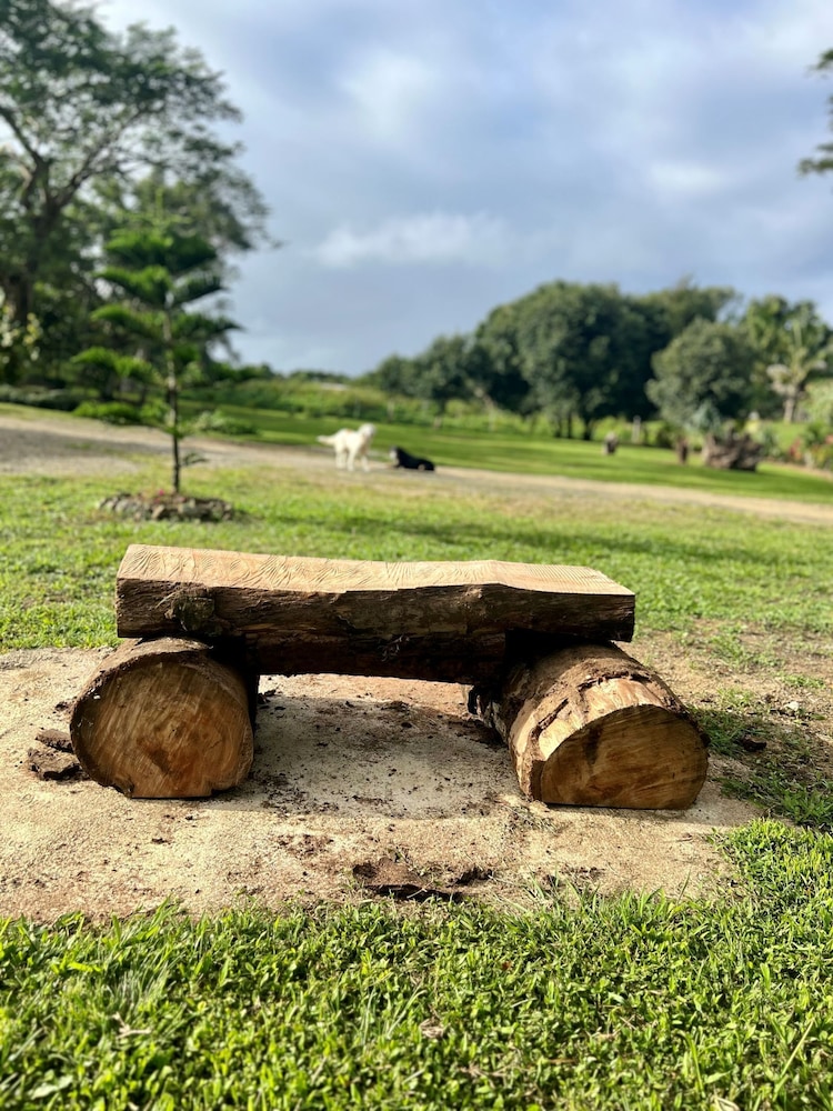 Maui Creek Bures