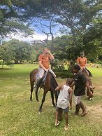 Maui Creek Bures