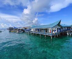 Amina Holidays