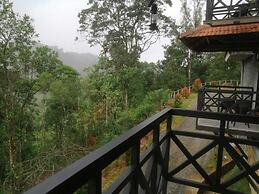 The Wild Trails Clarks Exotica Munnar