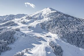 Modern Suite Directly on the ski Slope