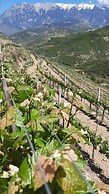 Pupa Winery Serene Stay