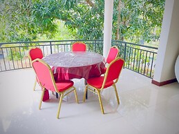 Cinnamon Tree