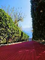 Manali Heart Villa