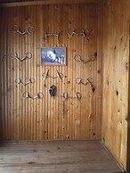 ESCUS HORSES