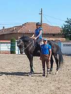 ESCUS HORSES
