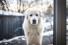 Stare Sady Kopytówka