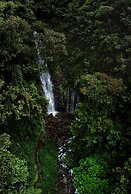 El Tigre Hideaway