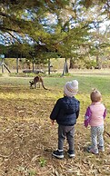 Tiny Away Escape at Grampians Edge