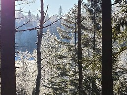 4 Star Holiday Home in Backefors