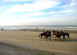 Flat in Blankenberge With Marina Views