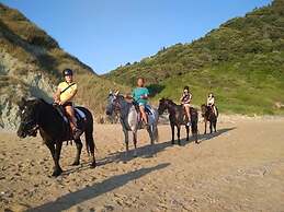 Erosea Beach Resort