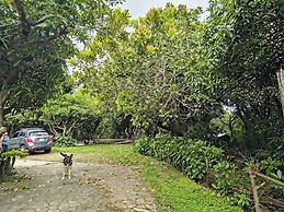 Quinta Kartagus