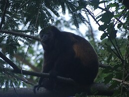 Cabañas El Bamboo
