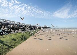 Flat in Blankenberge Near the Beach Pier