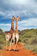 Naka Luxury Safari Lodge