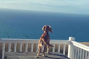 Seaview,sleeps 4to6,pet Friendly, Parking