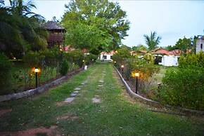 Olive Jungle Resort