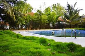 Olive Jungle Resort