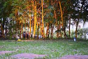 Olive Jungle Resort