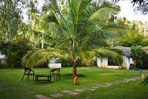 Olive Jungle Resort