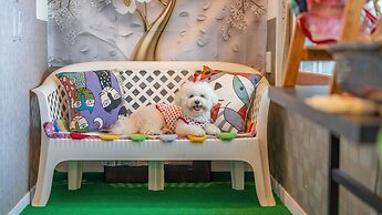 Yangyang Monti Pet Spa Pension