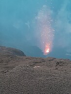 Glowing view tree house and Bangalow