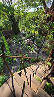 Glowing view tree house and Bangalow