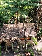 Glowing view tree house and Bangalow
