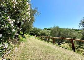 Hillside Retreat Near 5 Terre