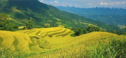 Ha Giang Ecolodge