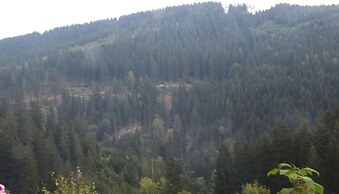 Charmantes Refugium, Harz