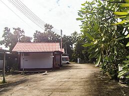 Haidaily