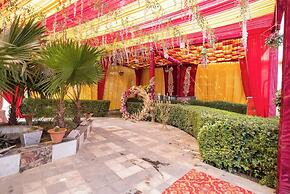 Royal Mansion Lawns