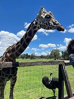 Glamping Reino Animal